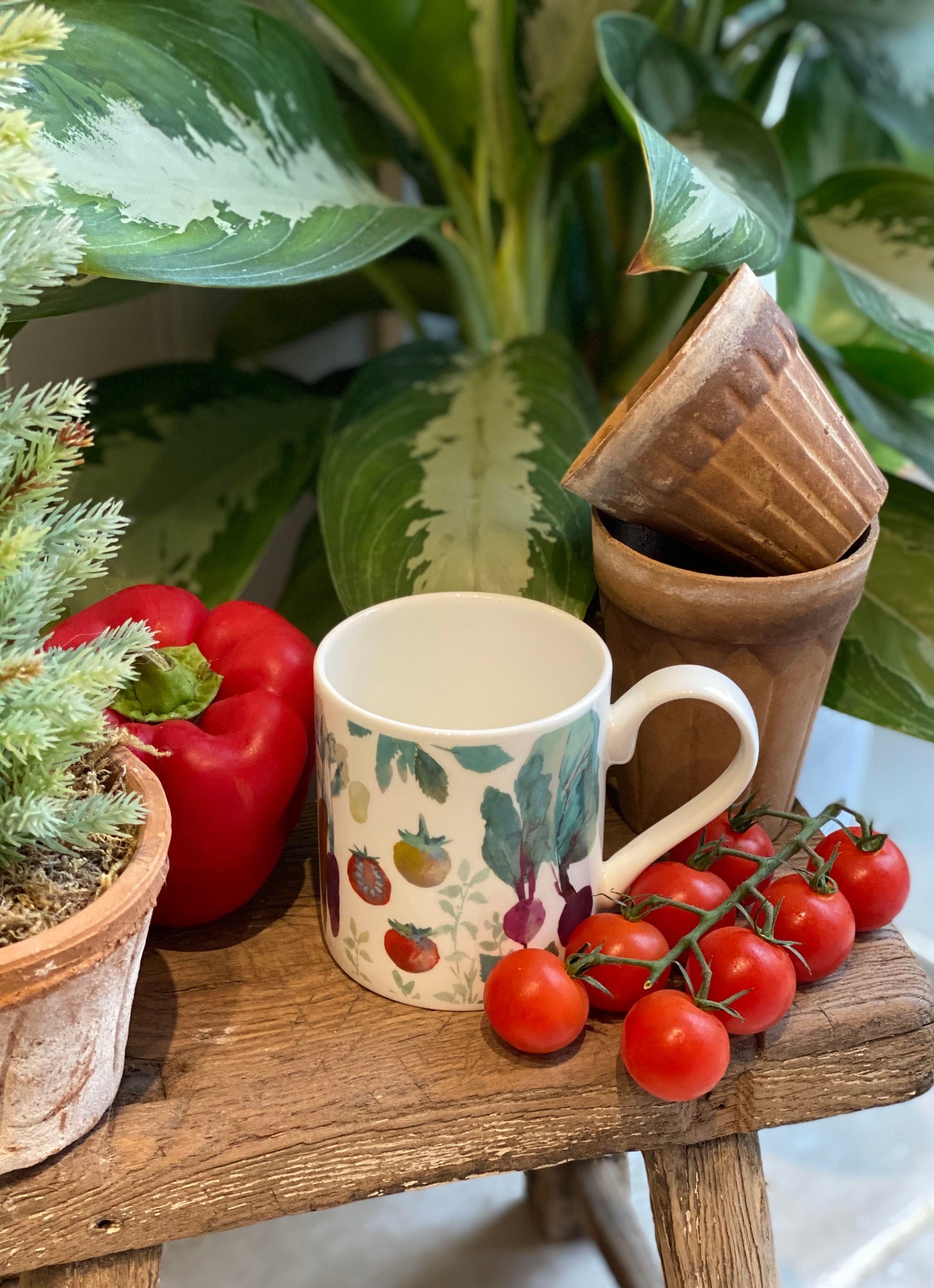 Veg Garden Rosehip Mug