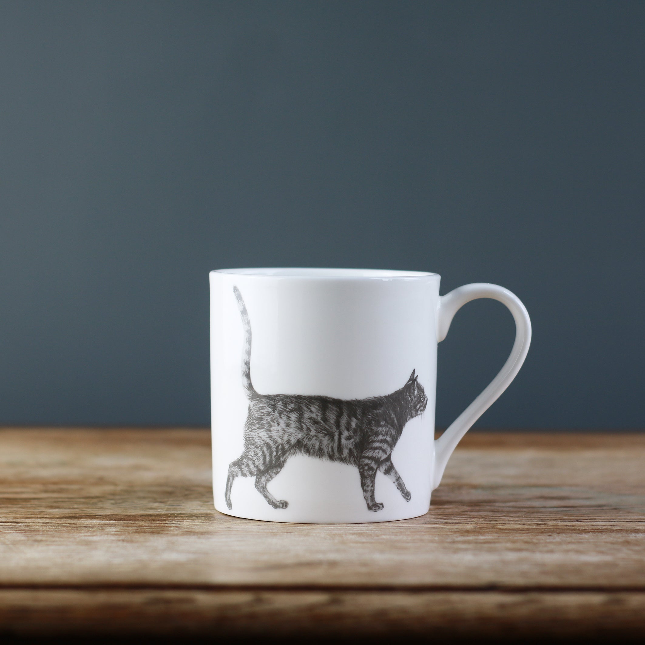 Casual Cat Mug