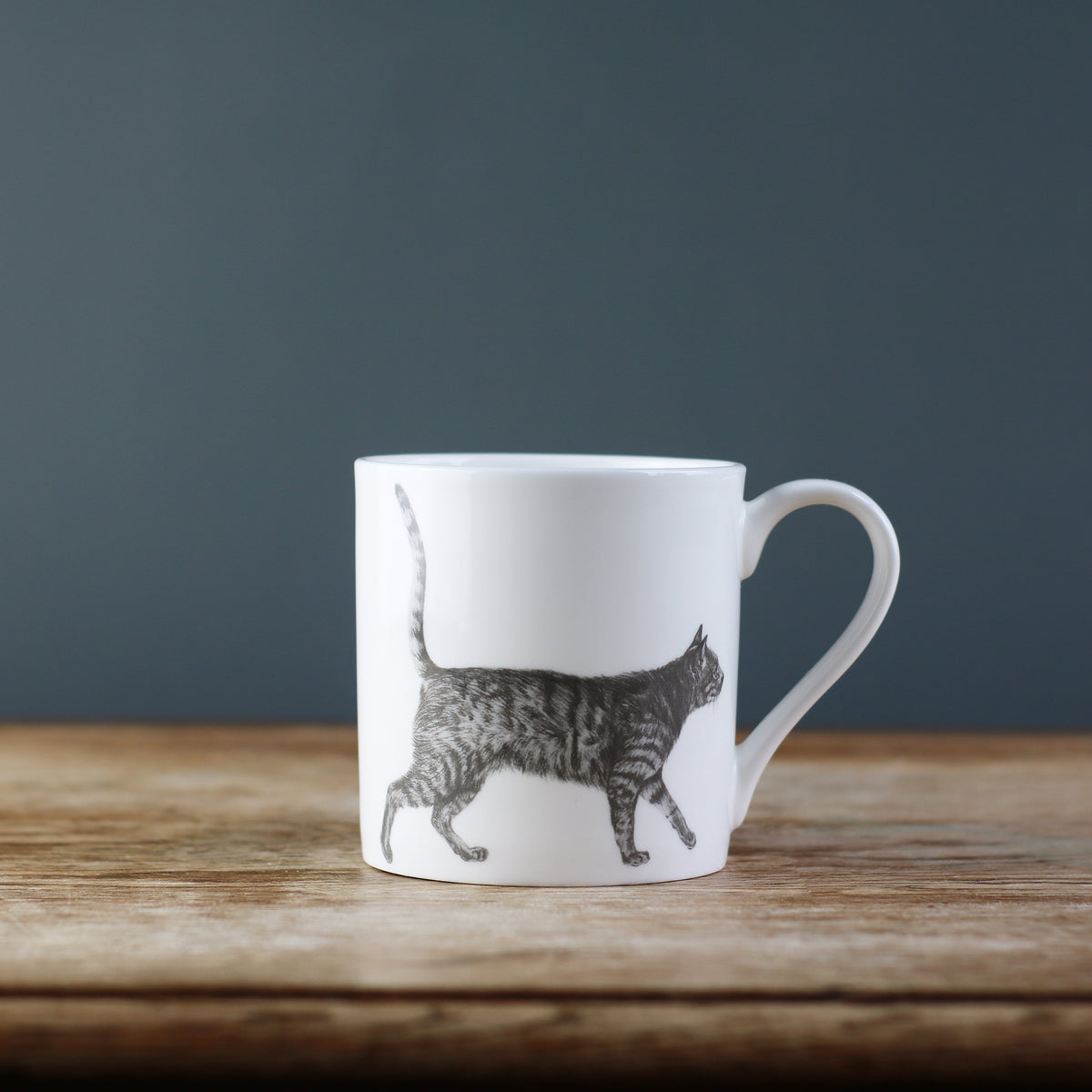 Casual Cat Mug