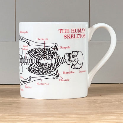 Human Skeleton Mug