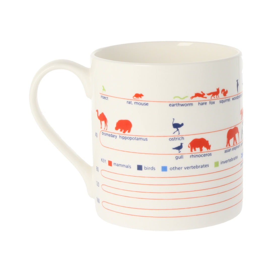 Animal Lifespan Mug