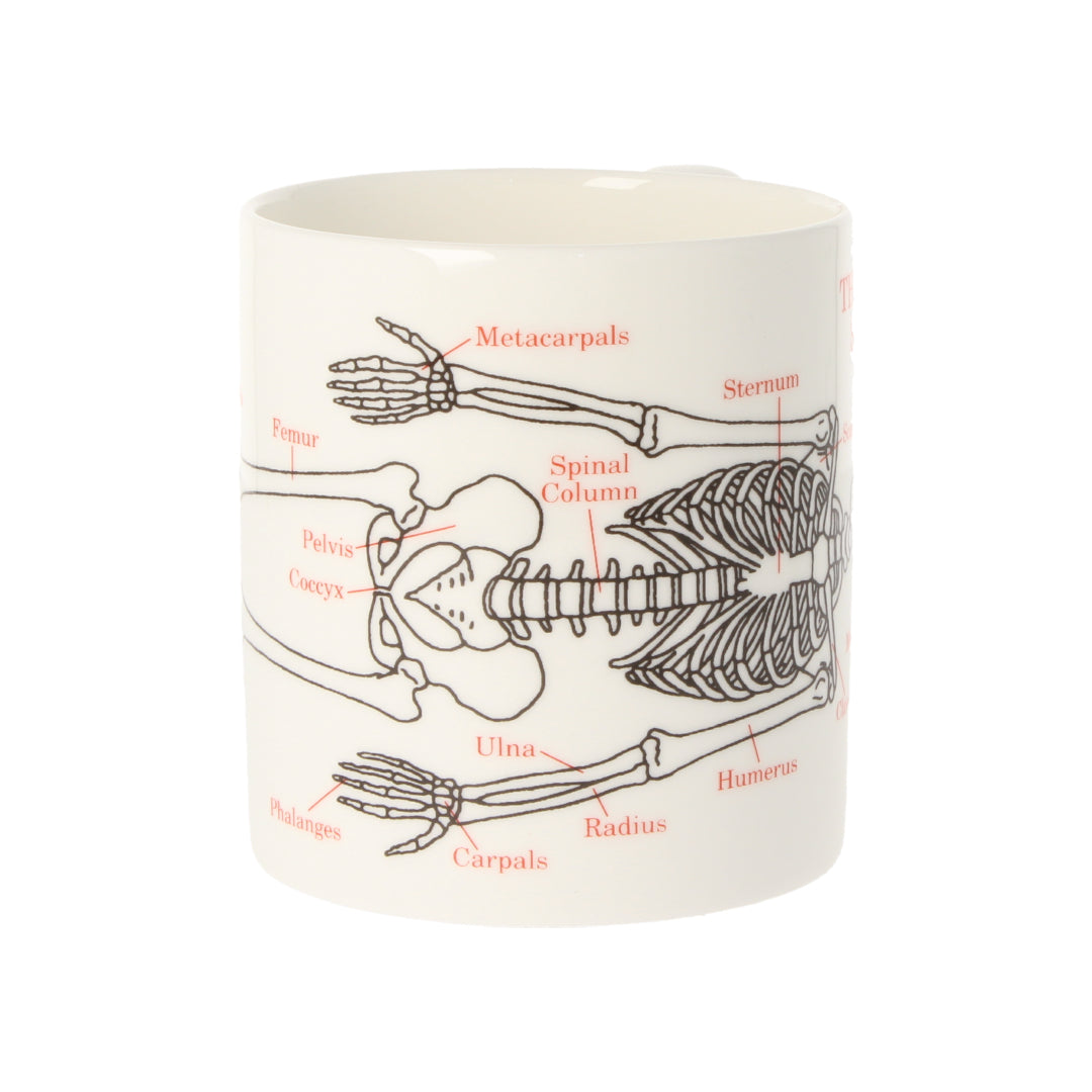 Human Skeleton Mug