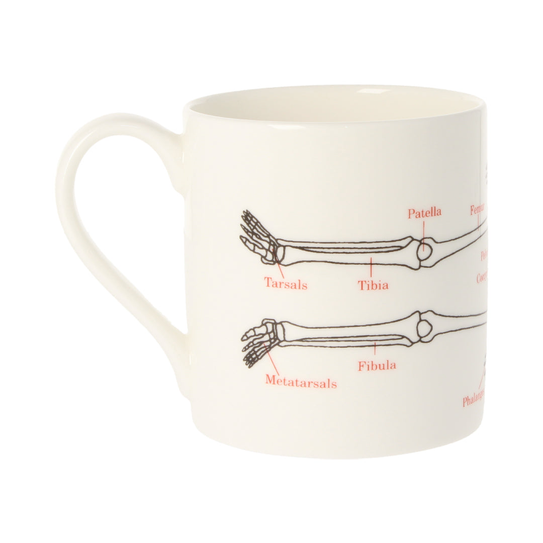 Human Skeleton Mug