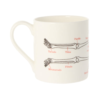 Human Skeleton Mug