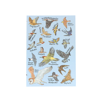 British Birds Notebook