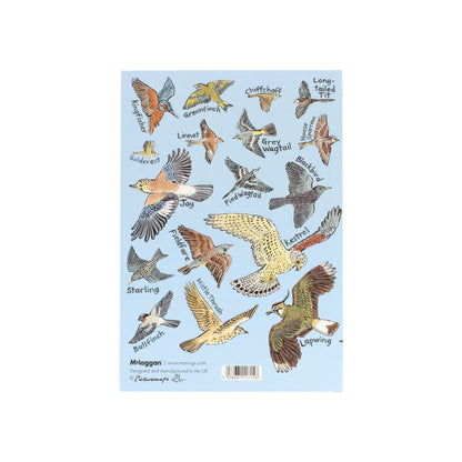 British Birds Notebook