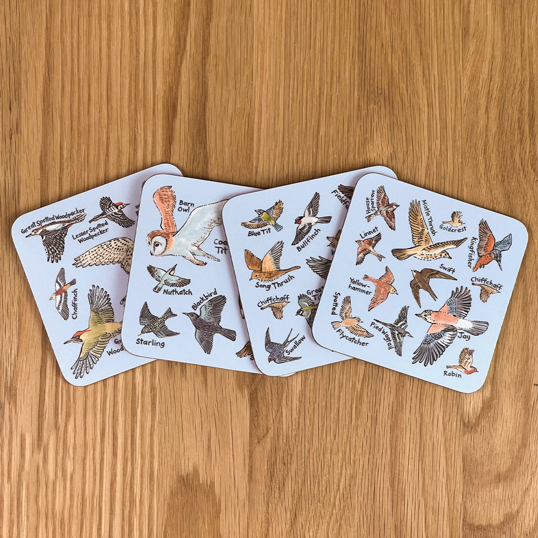 British Birds Coasters (Set of 4)