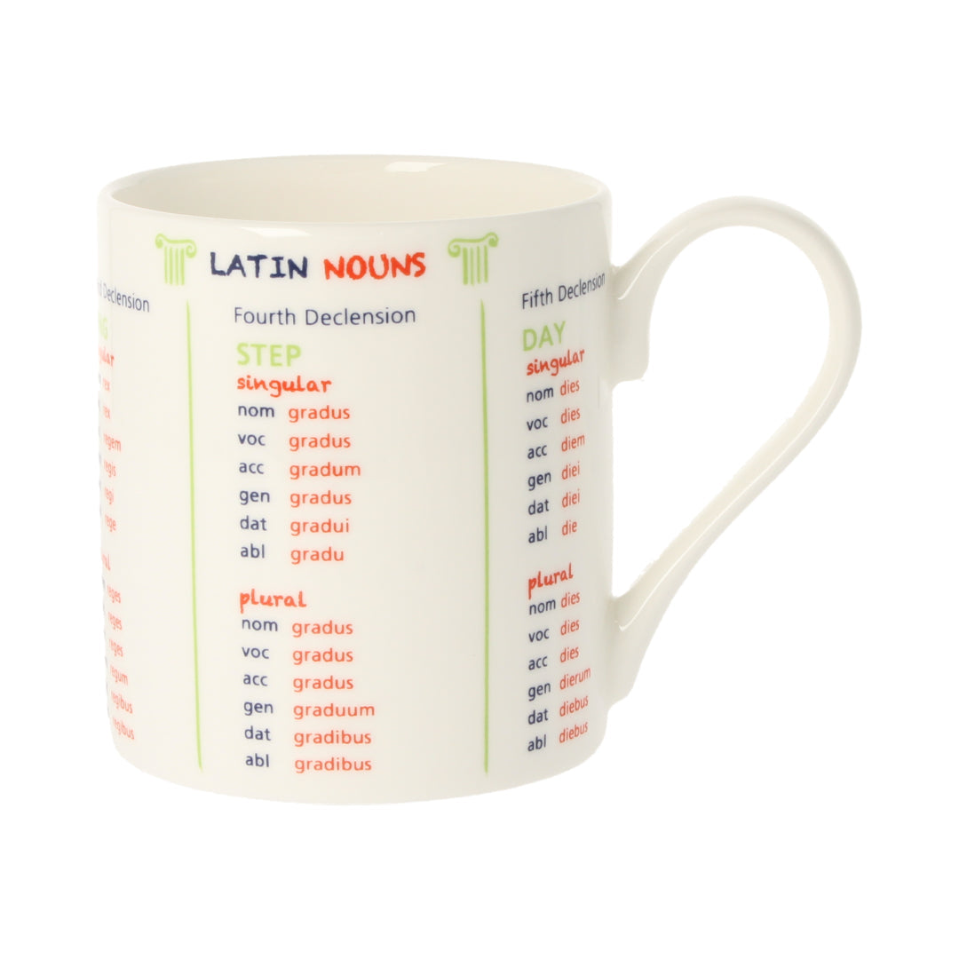 Latin Nouns Mug