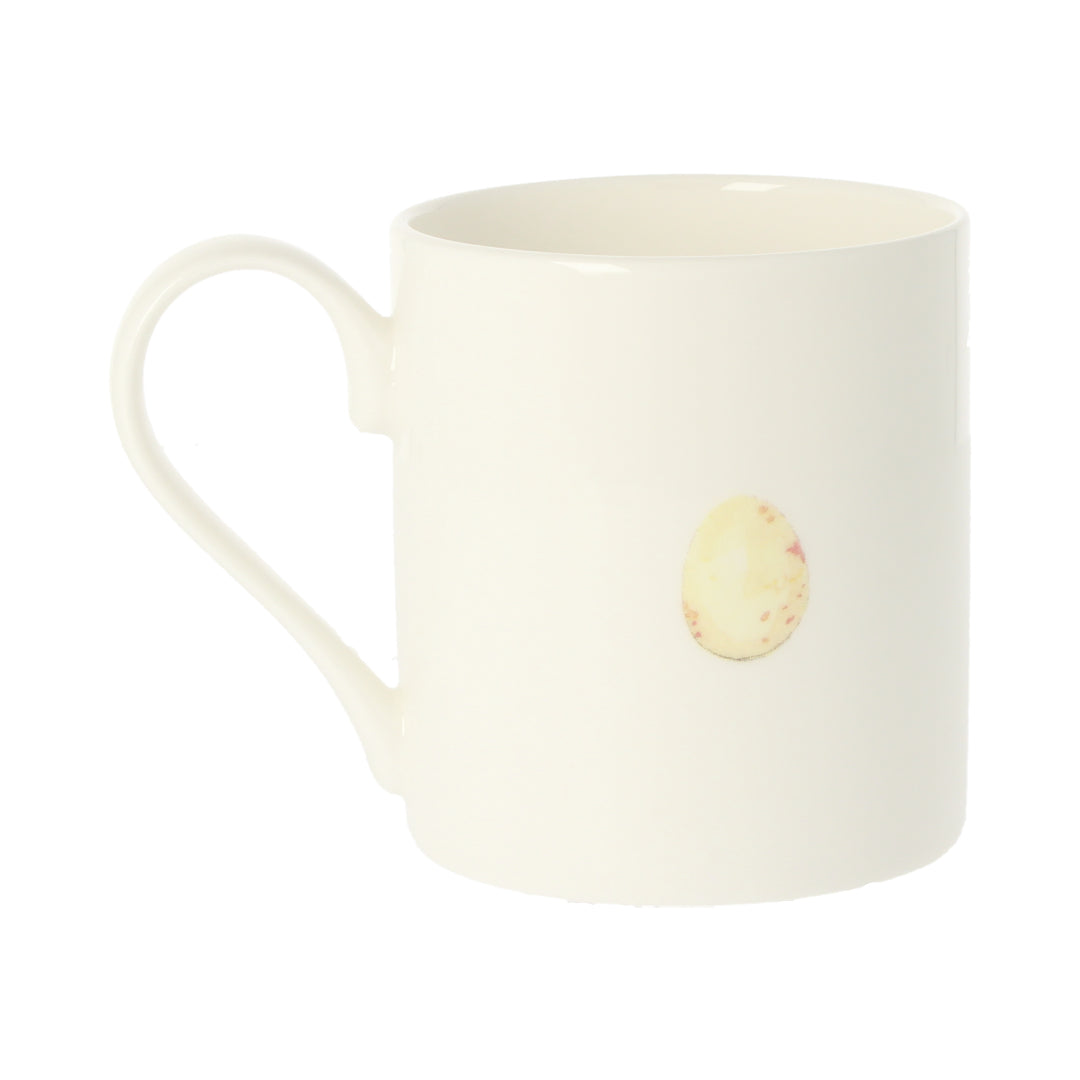 Barn Owl Mug