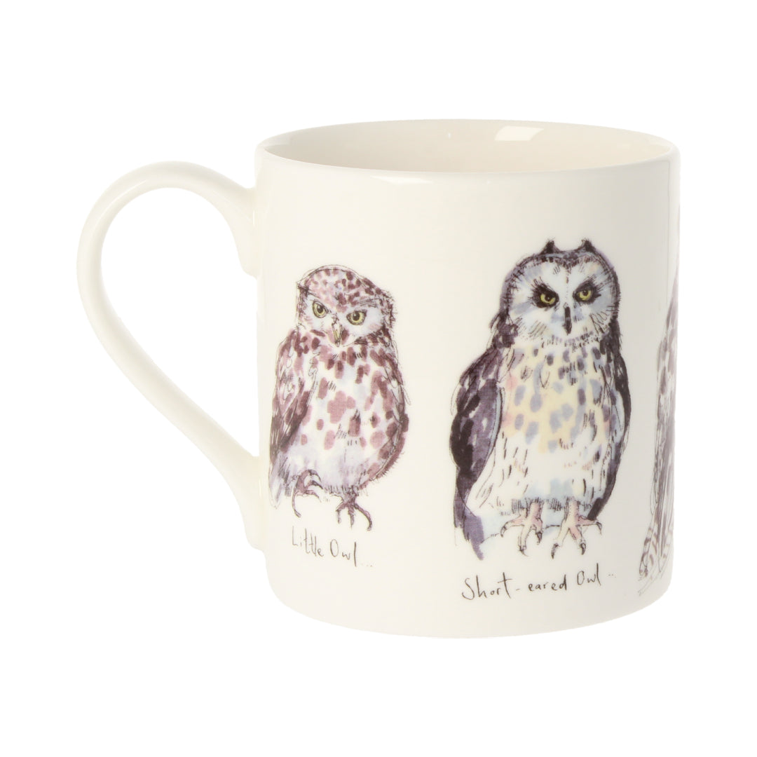 Five British Owls Mug