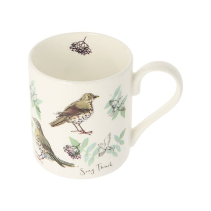 Five Song Thrush Mug